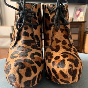 Steve Madden "annnie-l" Leopard/ Pony Hair Lace Up